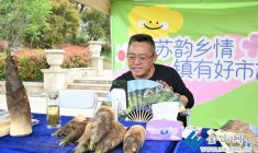 蘇韻鄉(xiāng)情 鎮(zhèn)有好市