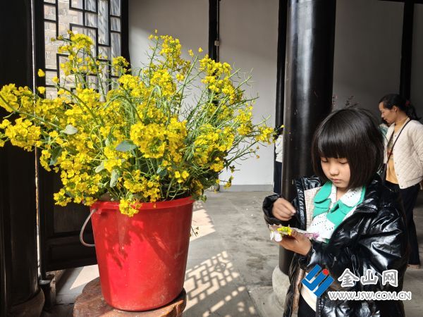 downLoad-20260411061101