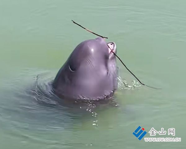 downLoad-20260412062949