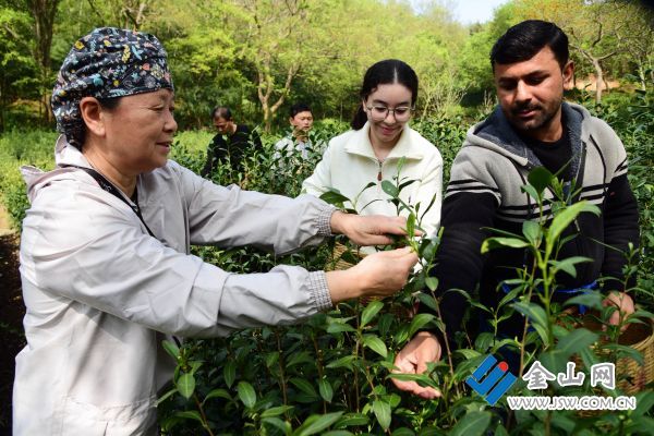 downLoad-20260413074419