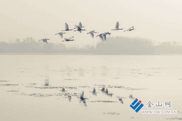 downLoad-20260414072045