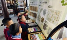 探尋蠶絲奧秘 感受非遺魅力