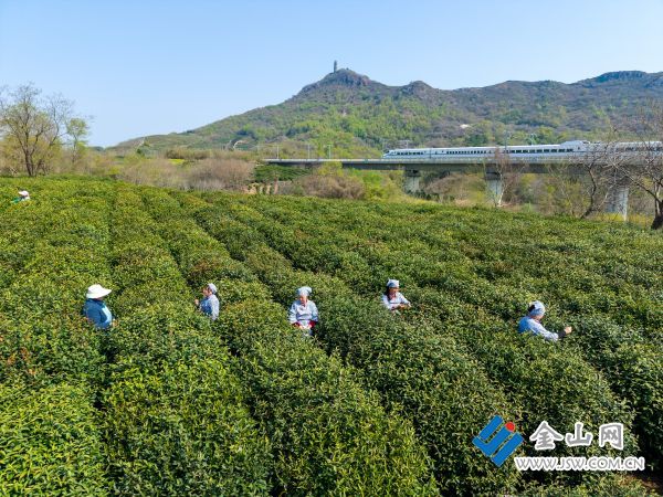 downLoad-20260415071921