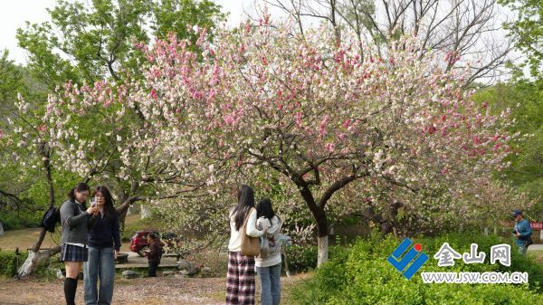 downLoad-20260415072559