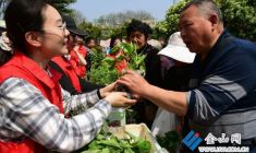 良種菜苗送市民