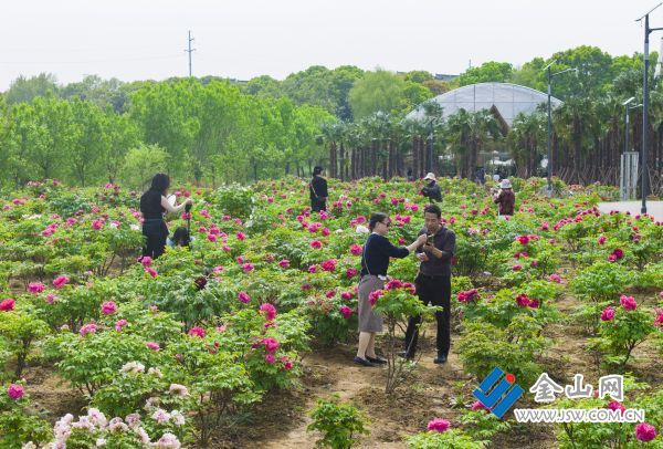 downLoad-20260416071959