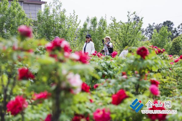 downLoad-20260416072000