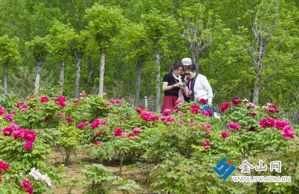 downLoad-20260416072002