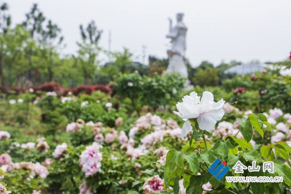 downLoad-20260416072003