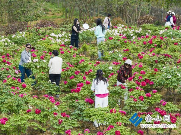 downLoad-20260416072004