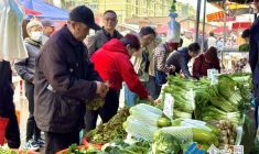 春日美食大量上市