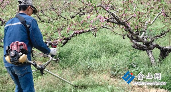 downLoad-20260417020534