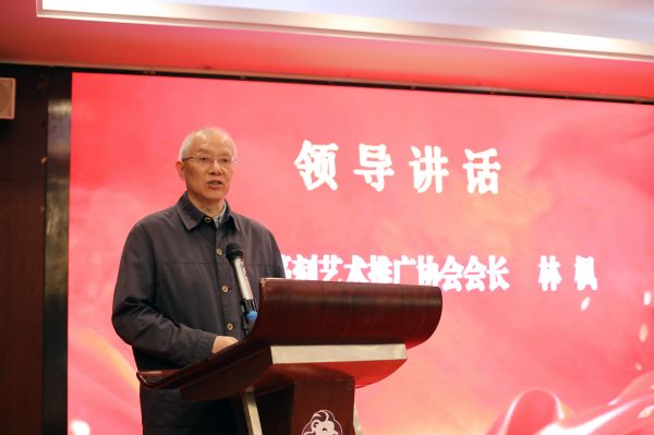 林楓會(huì)長(zhǎng)講話