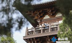 全球旅行商走進(jìn)鎮(zhèn)江 沉浸式體驗 “山水花園 名城文化”