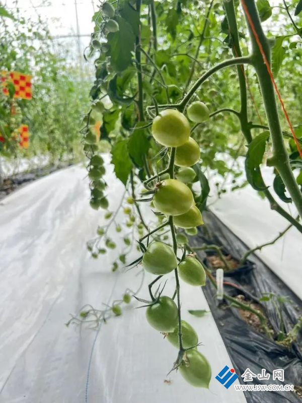 018adff9e1d594ad5de3d3094855fe224e.jpg@rkwu4gc-O-oT_xq0Su_gyNr80WMhIU9zf3aNbode55M@rs_fill_720_0@g_sm@q_75@