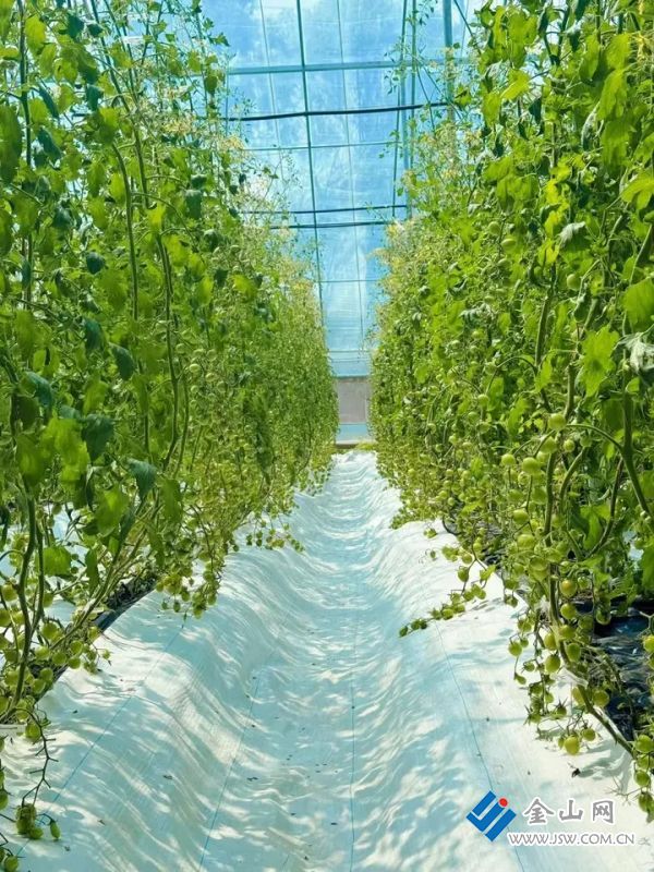 010867910c709ebf83fd5fd20ebe3ecc3a.jpg@-vrdlywpRWwz99-Lqx3gVPVXGy_atnsyFB9ufHpzz7Y@rs_fill_720_0@g_sm@q_75@