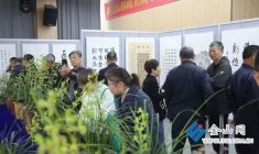 勞動(dòng)繪華章 蘭香潤(rùn)島城