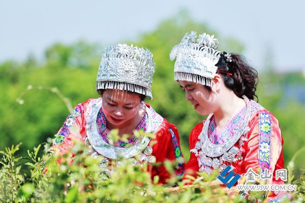 downLoad-20260422082106