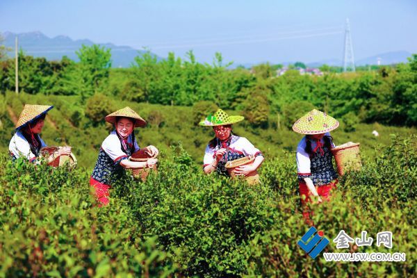 downLoad-20260422082107