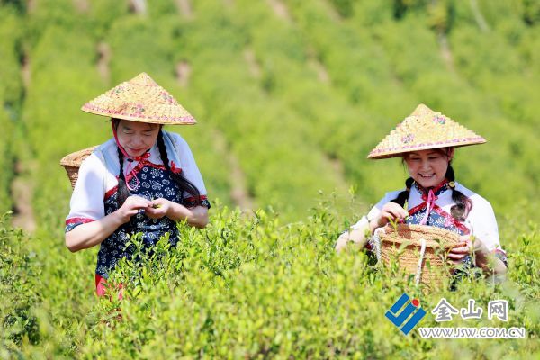 downLoad-20260422082108