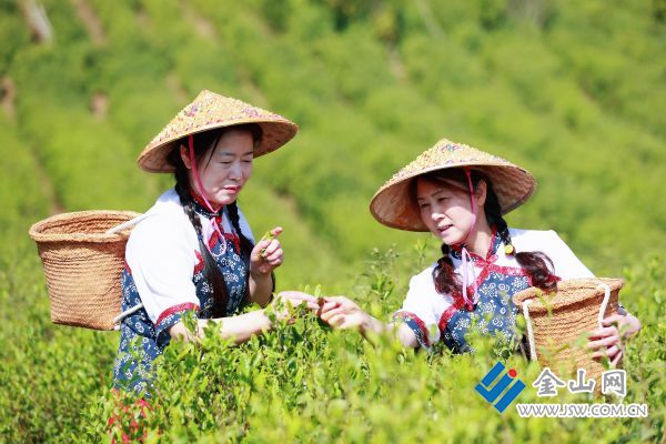 downLoad-20260422082110