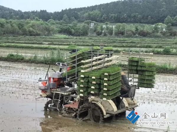 01d3687a2719cdf64d8af95938485fc1ee.jpg@h79VGrAahAPLk34AQh1eyJDAegvtECZhrH-F-PcUXbg@rs_fill_720_0@g_sm@q_75@