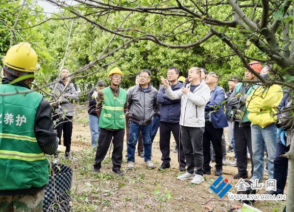 绿化养护春季培训助力打造优美环境(图1)