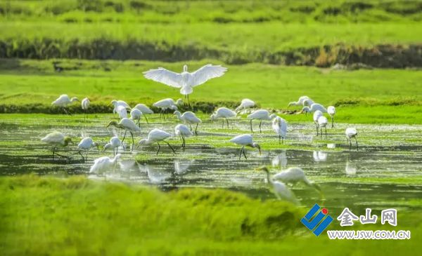 011d4a72ceccc138c7bf5e745bec8a4be9.jpg@ZdibwgkPop3ydxcJwGa7gc3NmeA-PmLkYggYD9mHFMA@rs_fill_720_0@g_sm@q_75@