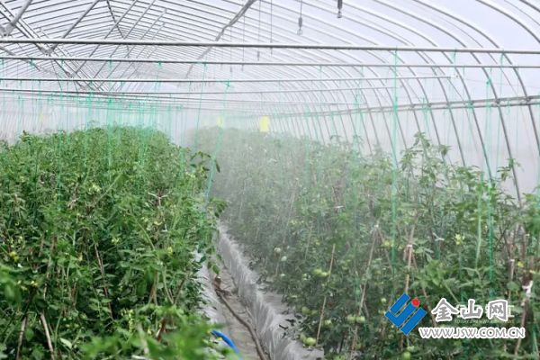 01d1e75051958c71f5c6192ad1de2040a2.jpg@Dd3tTBoB_AJJsv9blatEJJPfrfl2703NZiPMV-fQl14@rs_fill_720_0@g_sm@q_75@