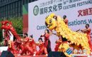 江蘇大學(xué)第十六屆國際文化節(jié)開幕