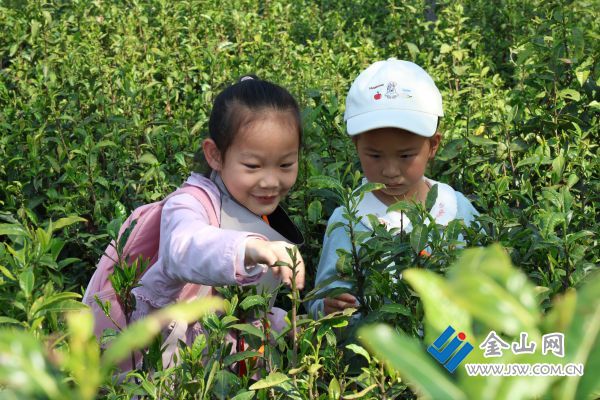 downLoad-20260427070715