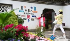 “滿眼芳菲”春花展亮相北固山