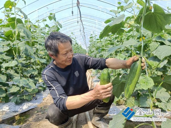 downLoad-20260429072747