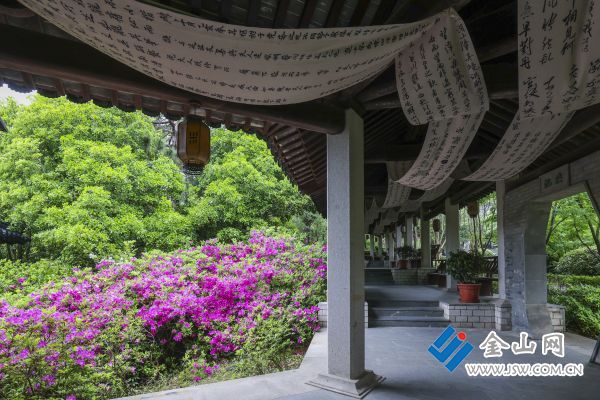 downLoad-20260430062551