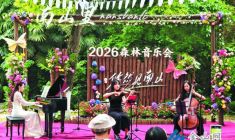 森林音樂會奏響假日樂章