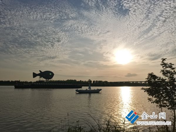 downLoad-20260513071808