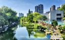 古運河畔 景致宜人