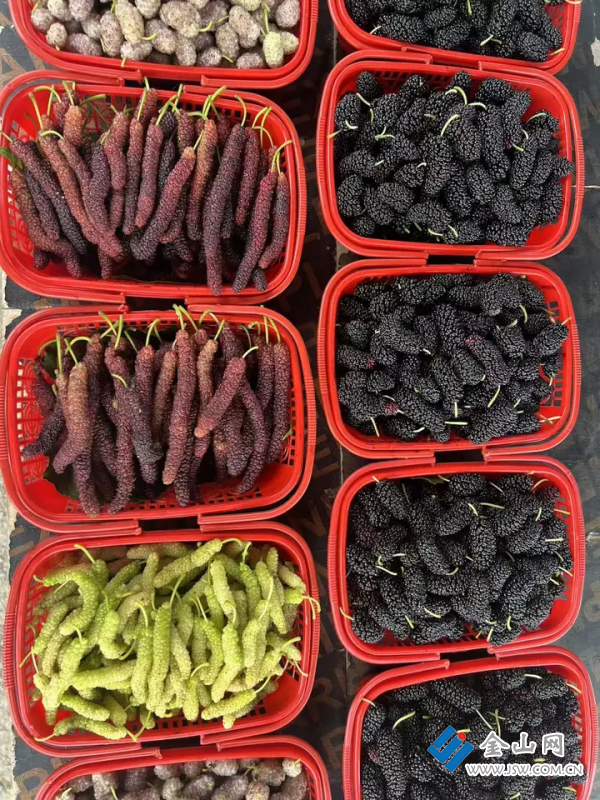 圖片 2