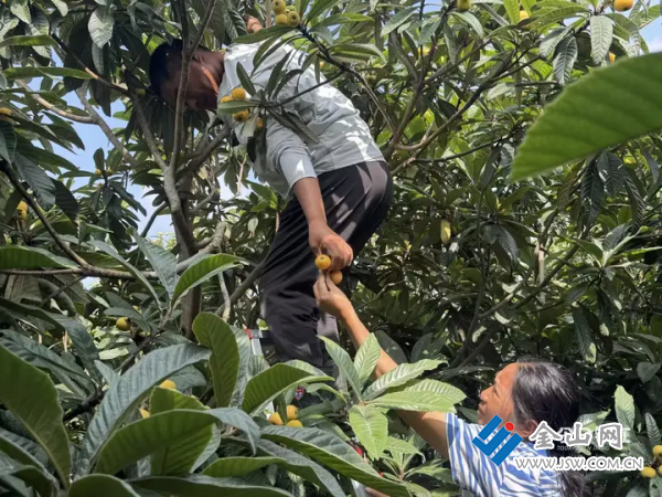 圖片 2