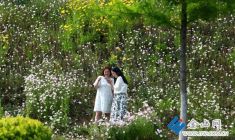 家門(mén)口的“詩(shī)與遠(yuǎn)方”