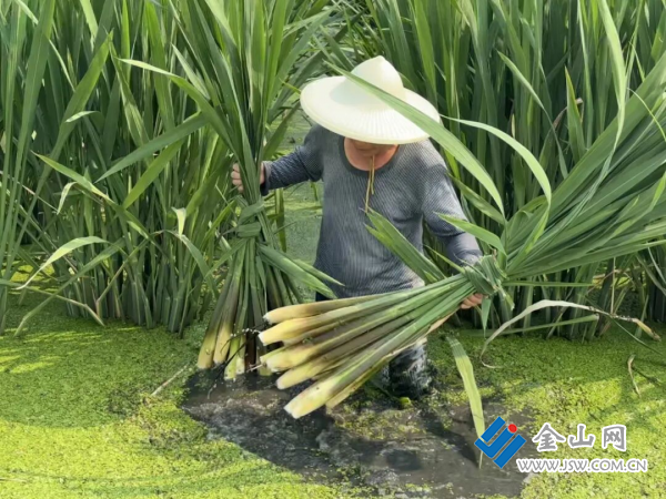 圖片 1