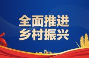全面推进乡村振兴