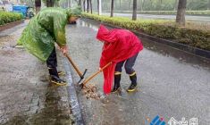 冒雨疏通排水口