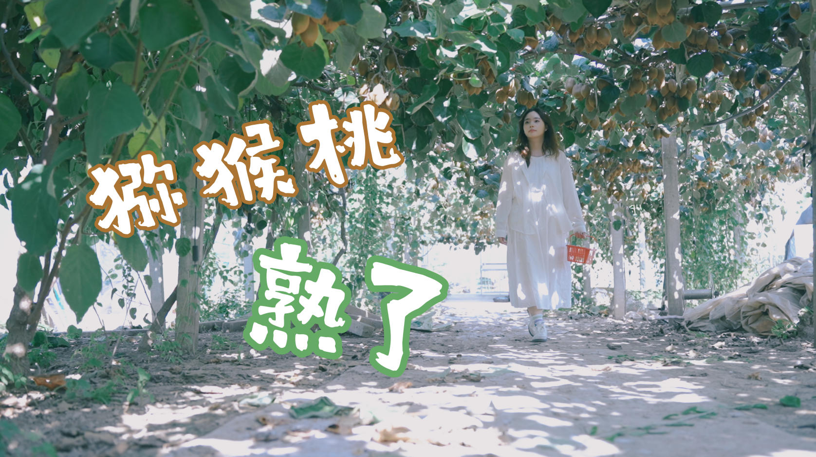 江心洲：秋果已熟，来尝一口自然清甜