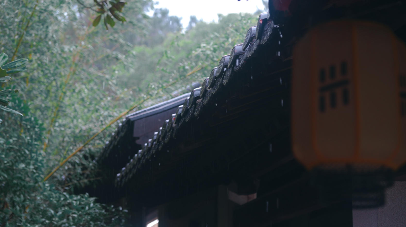 微视频丨雨落米园，墨染清秋