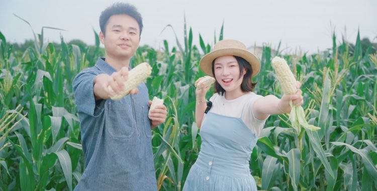 2块钱的快乐，周末一起去掰玉米！